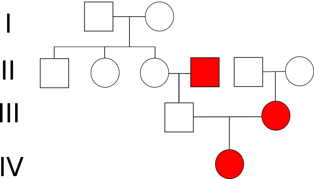 Stammbaum autosomal-rezessiv