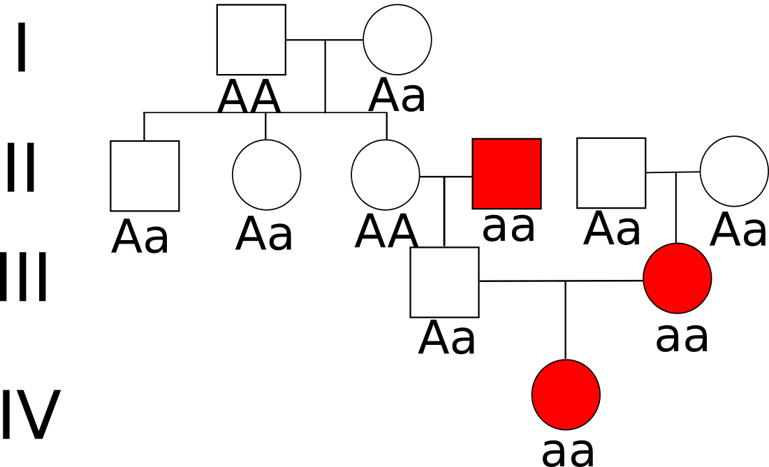 L&ouml;sung autosomal-rezessiv