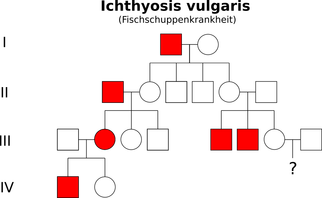 Stammbaum Ichthyosis