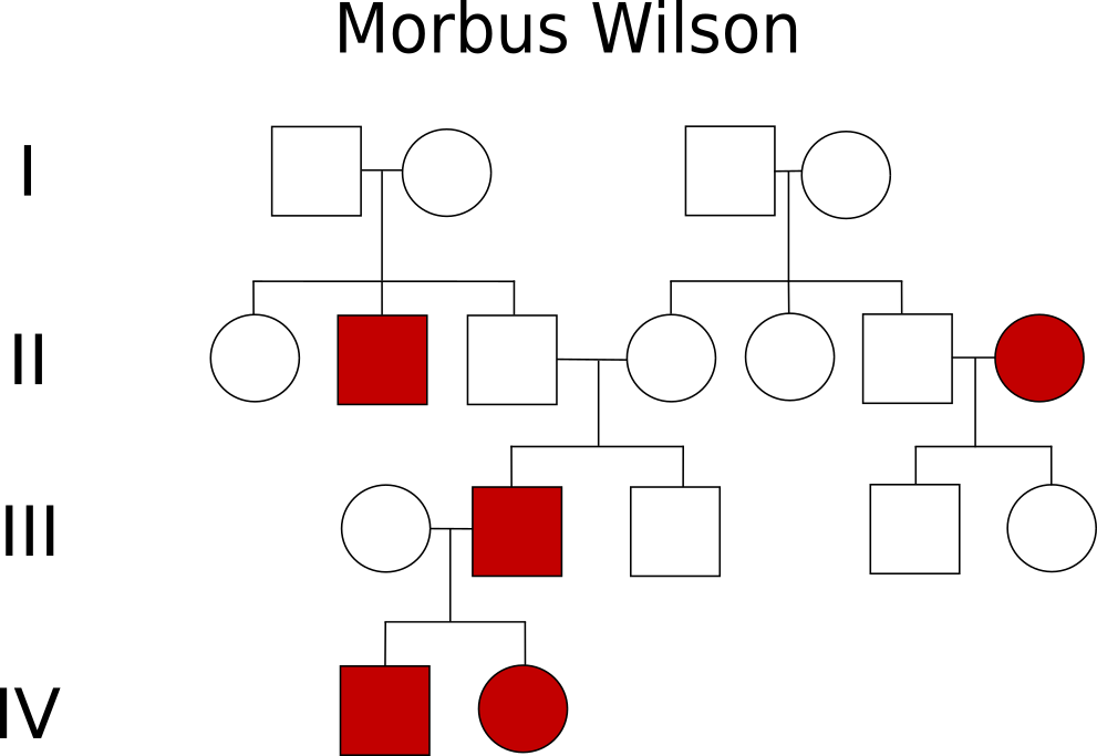 Stammbaum Morbus Wilson