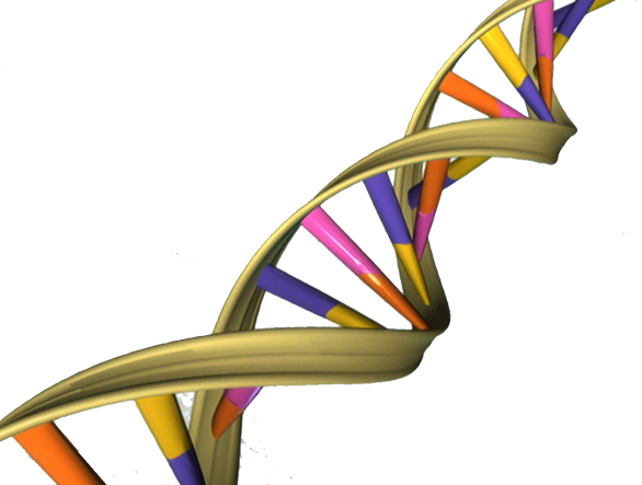 DNA-Doppelhelix als Symbol der Bioethik